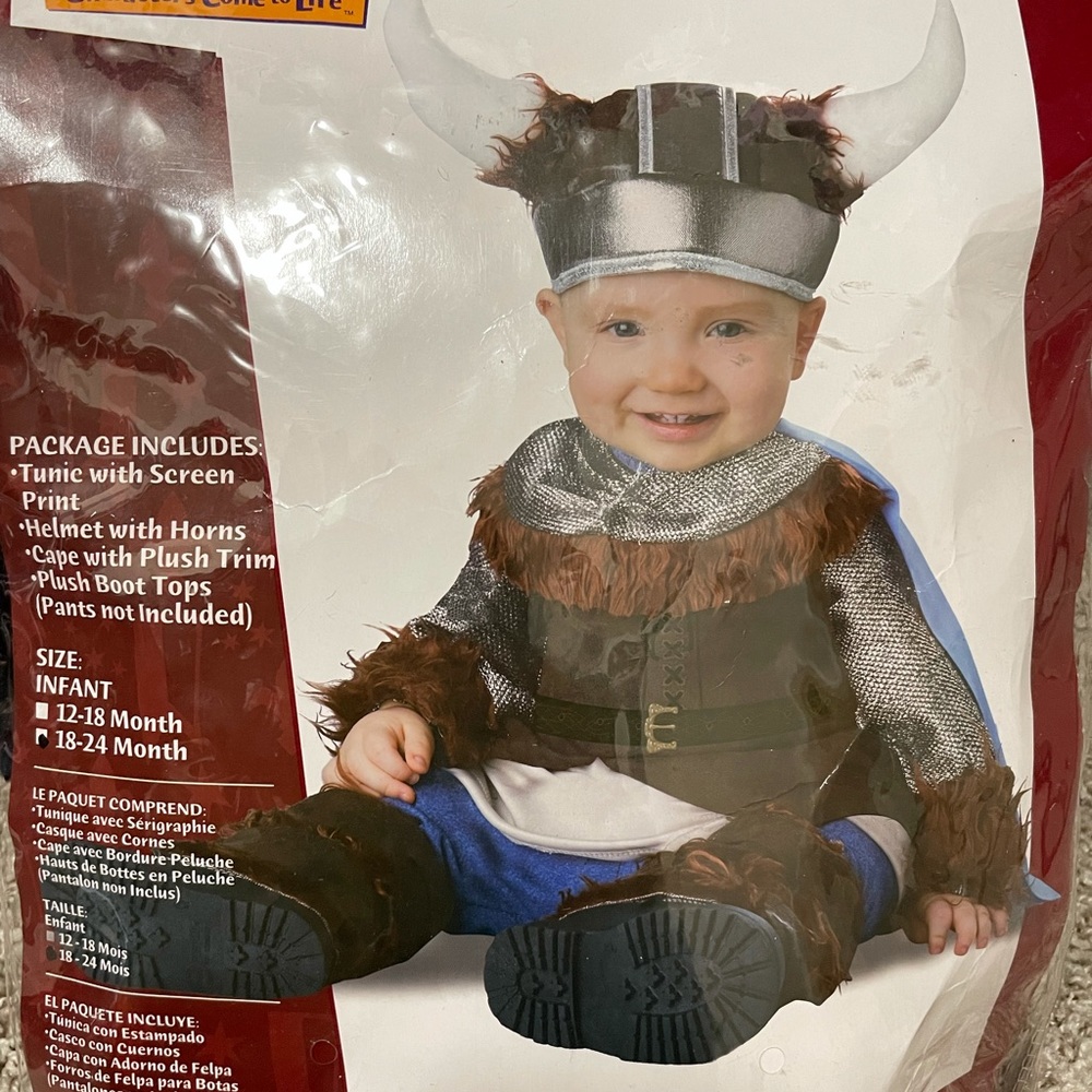 Viking costume